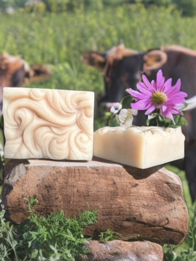 Handmade cow milk soap benefits